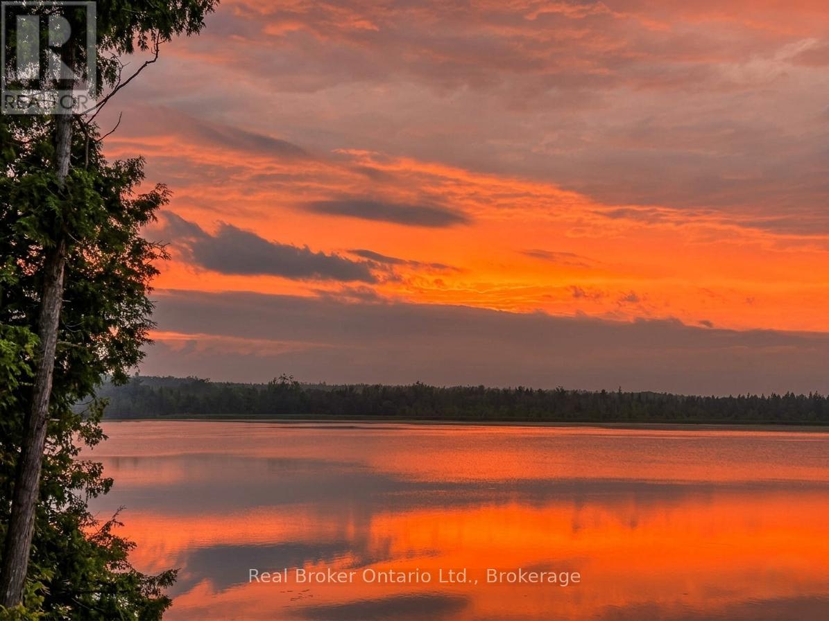 19 North Taylor Road, Kawartha Lakes, Ontario  K0M 2B0 - Photo 24 - X12920222