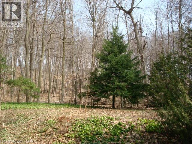 135 Glenforest Road, Cambridge, Ontario  N3C 1V6 - Photo 46 - 40813893