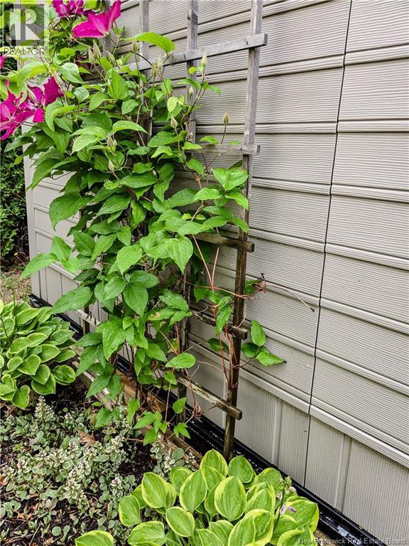 27 Richard Avenue, Bouctouche, New Brunswick  E4S 3T1 - Photo 36 - NB135631