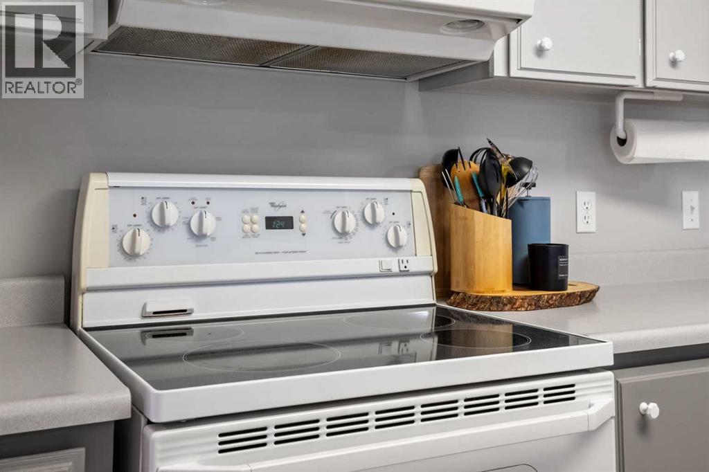 157 Spring Haven Mews Se, Airdrie, Alberta  T4A 1A8 - Photo 14 - A2293527