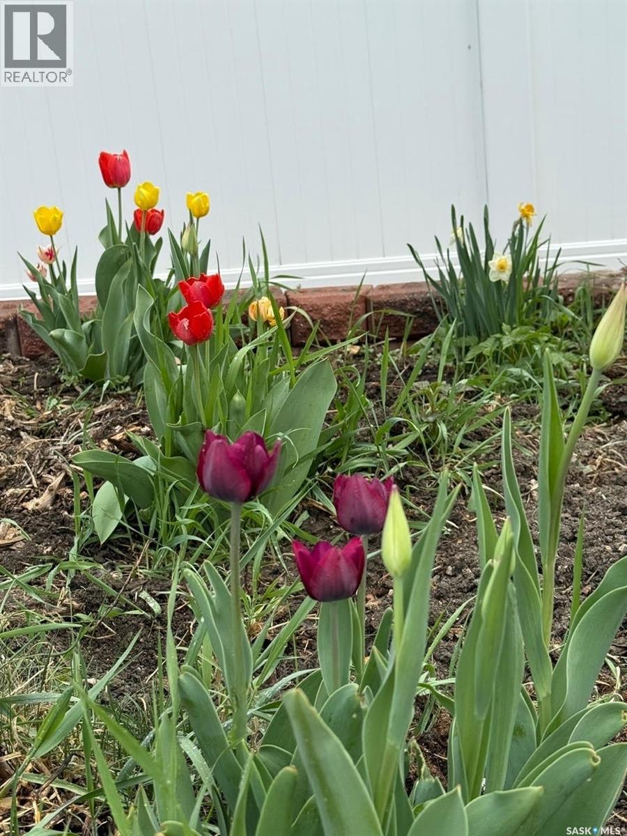 55 Schneider Crescent, Regina, Saskatchewan  S4P 4B7 - Photo 30 - SK031266