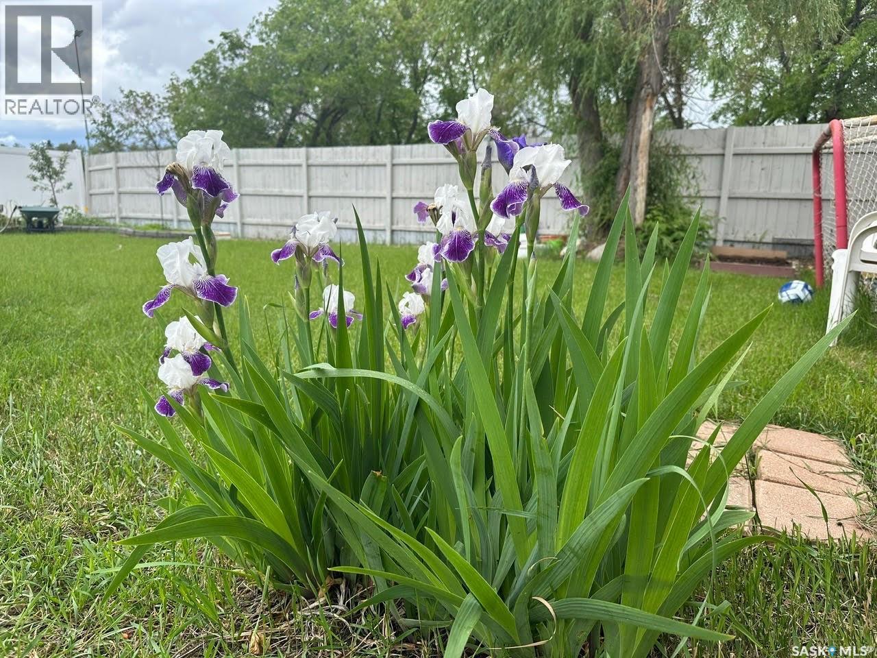 55 Schneider Crescent, Regina, Saskatchewan  S4P 4B7 - Photo 33 - SK031266