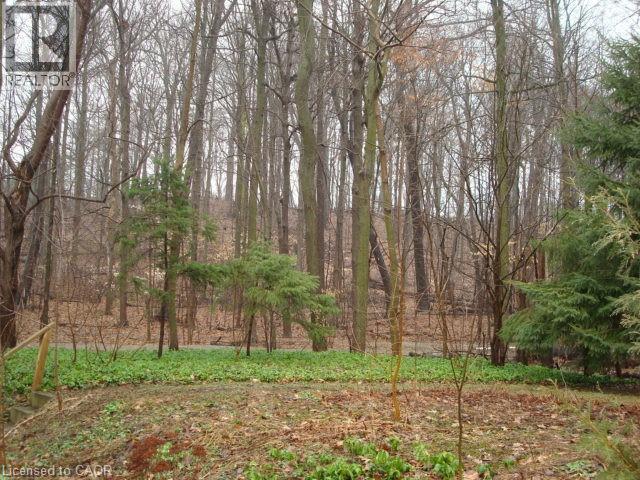 135 Glenforest Road, Cambridge, Ontario  N3C 1V6 - Photo 9 - 40813898