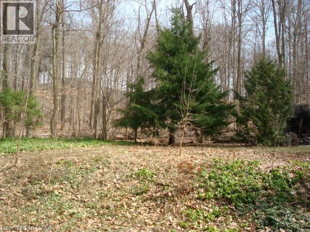 135 Glenforest Road, Cambridge, Ontario  N3C 1V6 - Photo 6 - 40813898