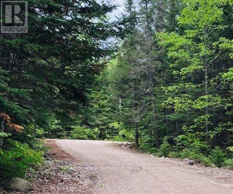 1055e Argo Run, Mattawan, Ontario  P0H 1V0 - Photo 26 - X12918916