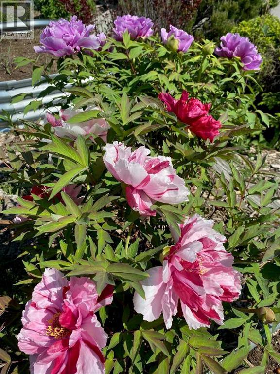 2704 48 Avenue Nw, Calgary, Alberta  T2L 1C3 - Photo 11 - A2292210