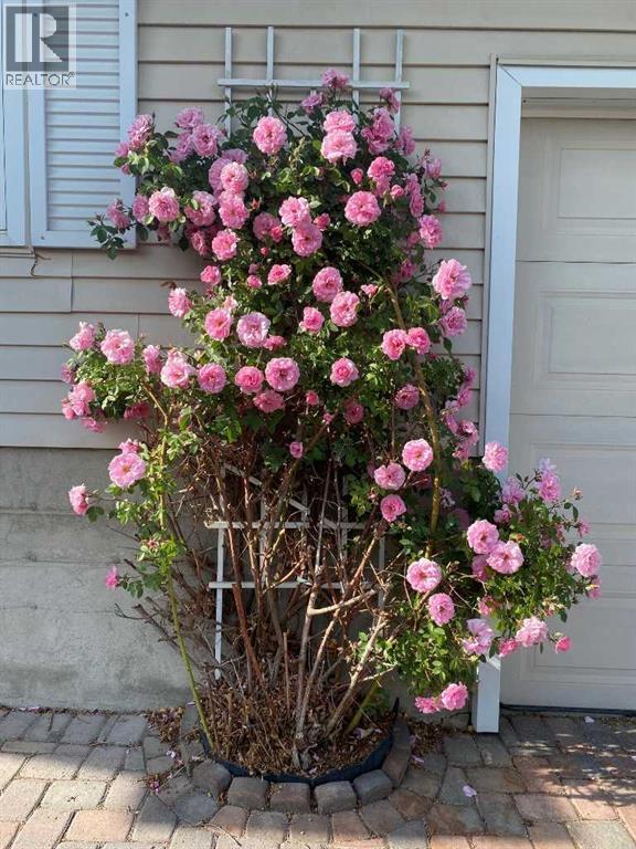 2704 48 Avenue Nw, Calgary, Alberta  T2L 1C3 - Photo 12 - A2292210