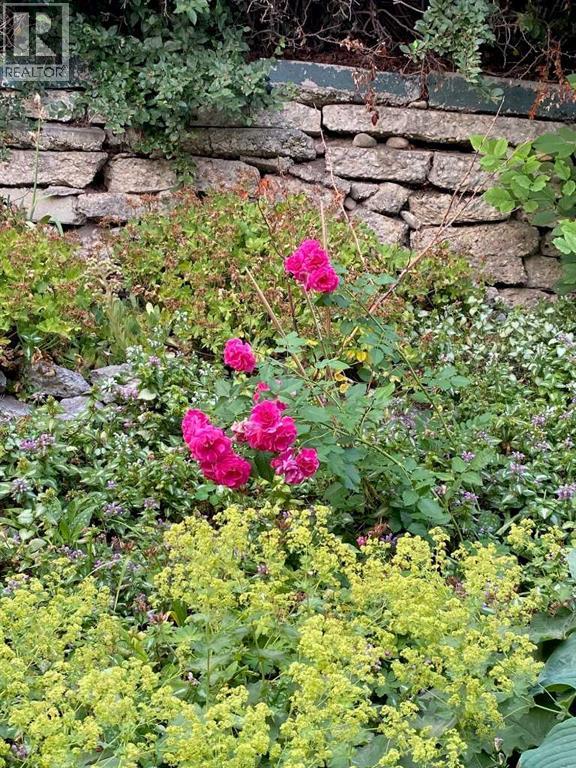 2704 48 Avenue Nw, Calgary, Alberta  T2L 1C3 - Photo 7 - A2292210