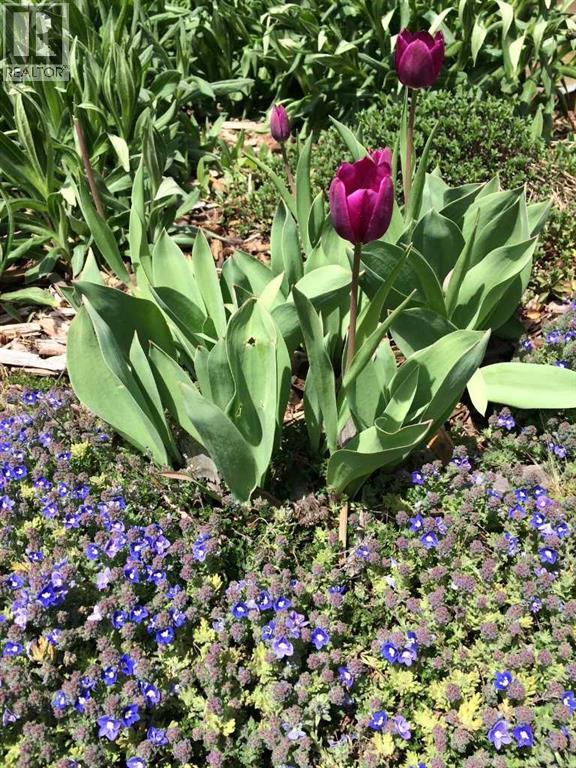 2704 48 Avenue Nw, Calgary, Alberta  T2L 1C3 - Photo 9 - A2292210