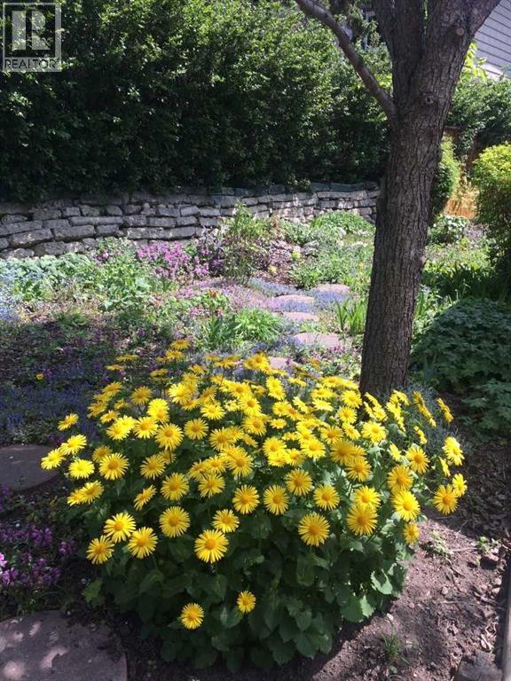 2704 48 Avenue Nw, Calgary, Alberta  T2L 1C3 - Photo 10 - A2292210