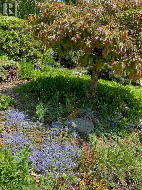 2704 48 Avenue Nw, Calgary, Alberta  T2L 1C3 - Photo 8 - A2292210