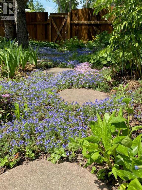 2704 48 Avenue Nw, Calgary, Alberta  T2L 1C3 - Photo 6 - A2292210