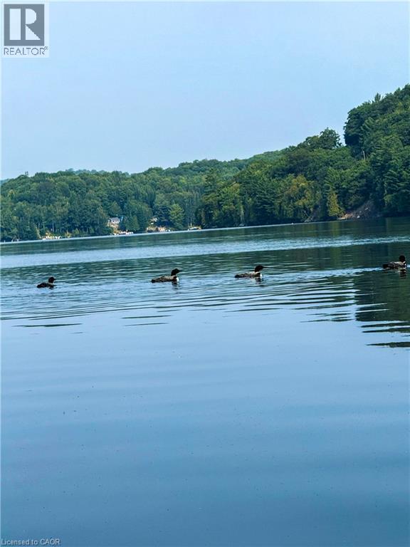 1257 Paint Lake Road, Dorset, Ontario  P0A 1E0 - Photo 33 - 40814933