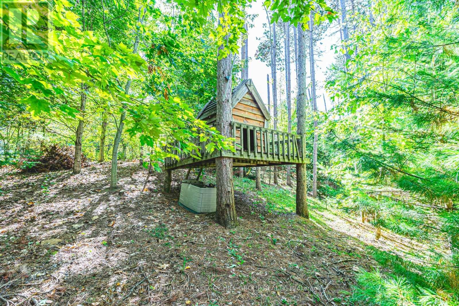 5 Campbell Court, Springwater, Ontario  L0L 1V0 - Photo 24 - S12920440