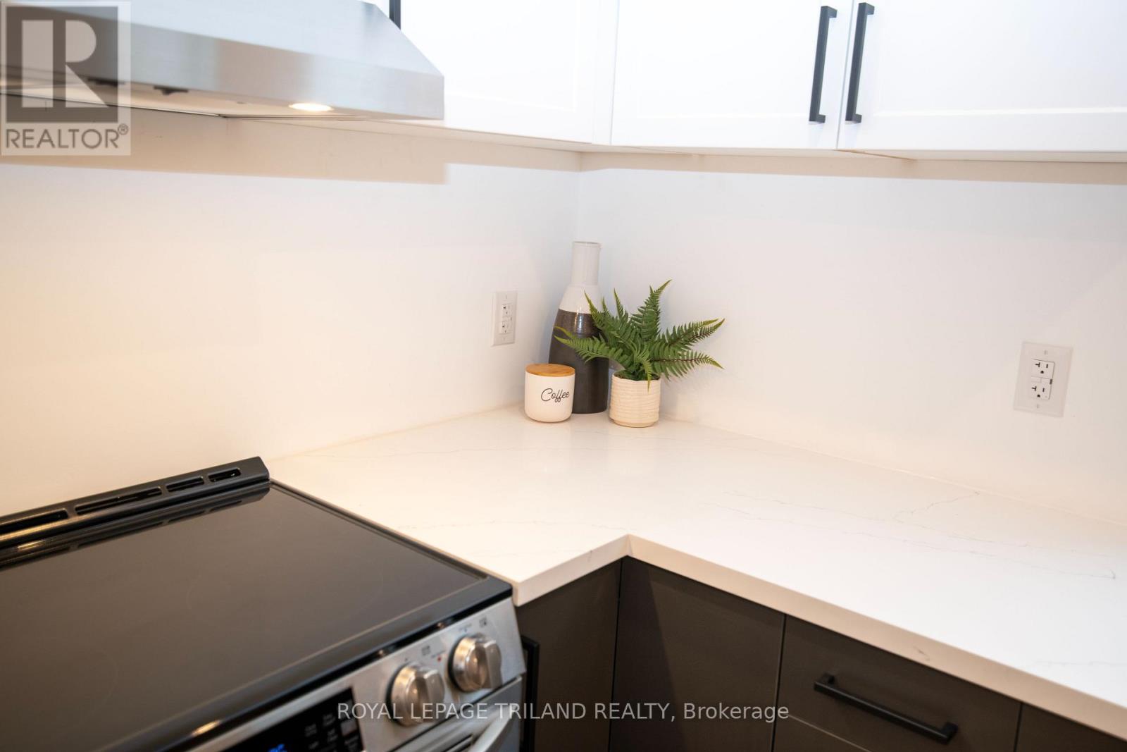 201 - 425 Dundas Street, London East, Ontario  N6B 1V9 - Photo 4 - X12920556