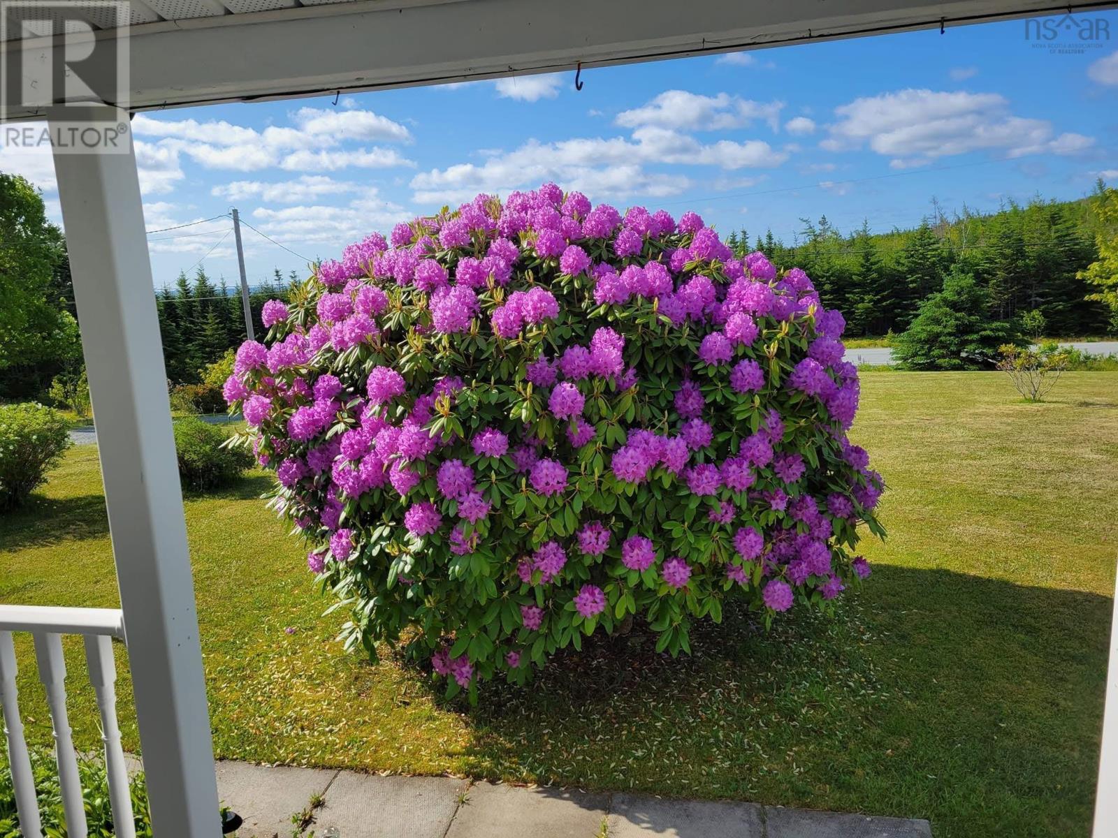 24585 Highway 7, Beaver Harbour, Nova Scotia  B0J 2R0 - Photo 3 - 202603241