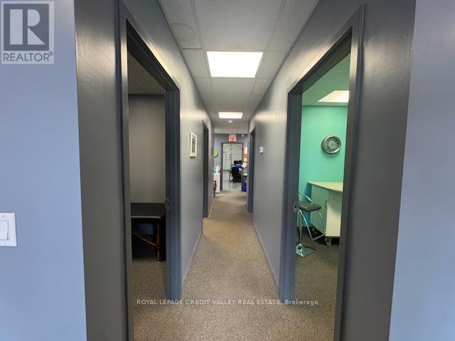 9 - 330 Guelph Street, Halton Hills, Ontario  L7G 4B5 - Photo 19 - W12920658
