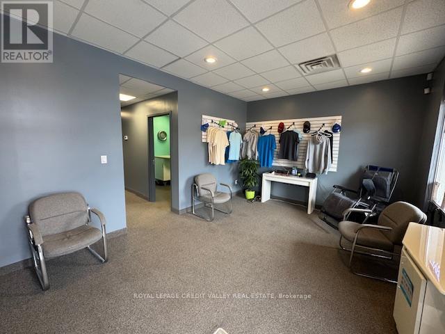 9 - 330 Guelph Street, Halton Hills, Ontario  L7G 4B5 - Photo 9 - W12920658