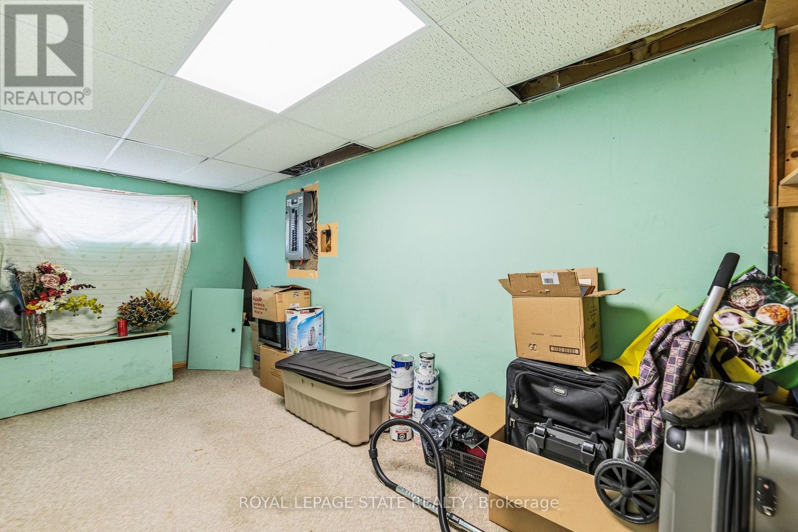 222 Greencedar Drive, Hamilton, Ontario  L9C 6W6 - Photo 25 - X12920590