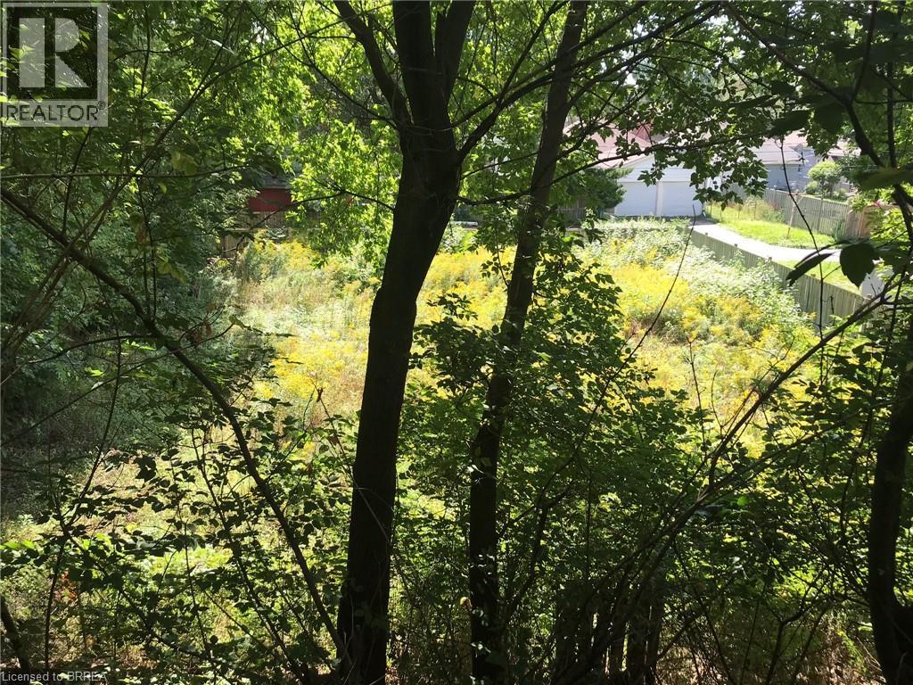 38 BROCK Lane, Brantford, Ontario