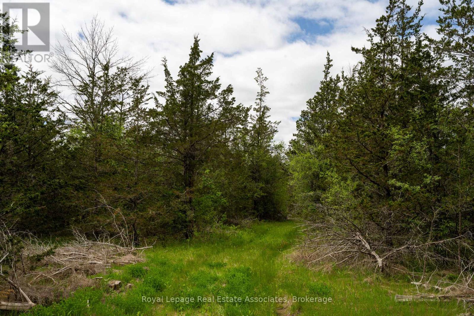 2523 County Rd 15, Prince Edward County, Ontario  N8M 2X6 - Photo 4 - X12920032