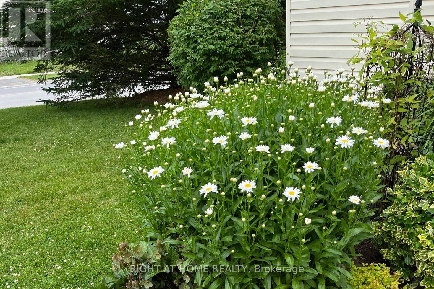 20 Argyle Crescent, Prince Edward County, Ontario  K0K 2T0 - Photo 46 - X12919528