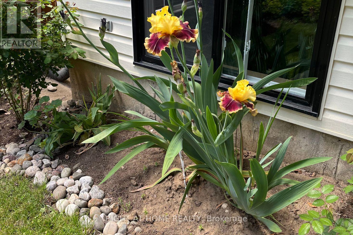 20 Argyle Crescent, Prince Edward County, Ontario  K0K 2T0 - Photo 48 - X12919528