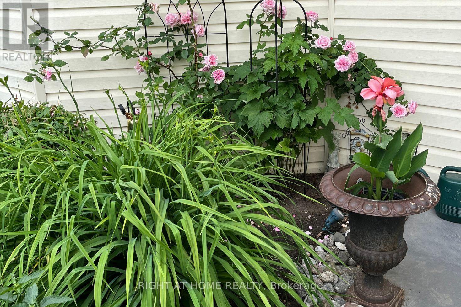 20 Argyle Crescent, Prince Edward County, Ontario  K0K 2T0 - Photo 47 - X12919528