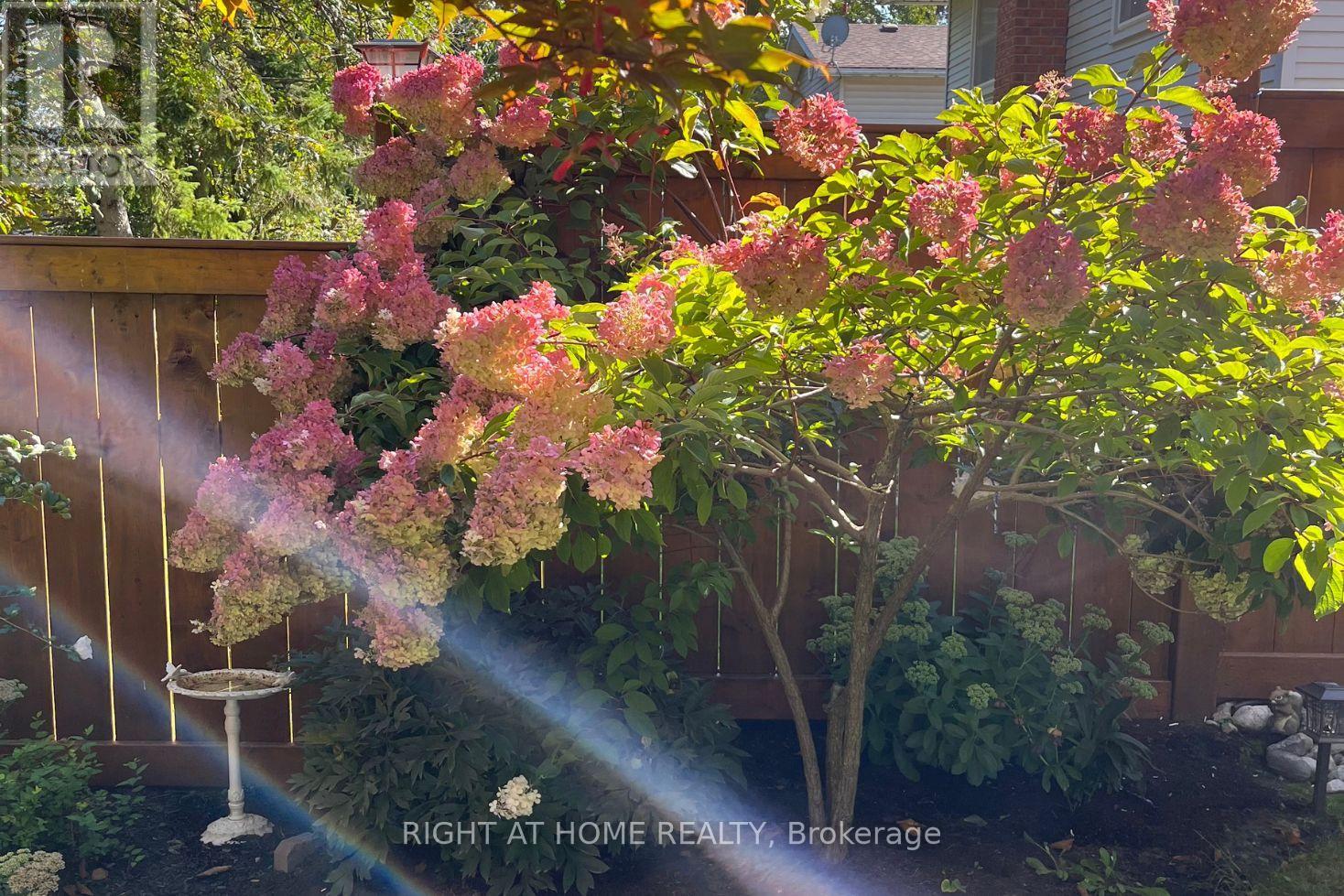 20 Argyle Crescent, Prince Edward County, Ontario  K0K 2T0 - Photo 44 - X12919528