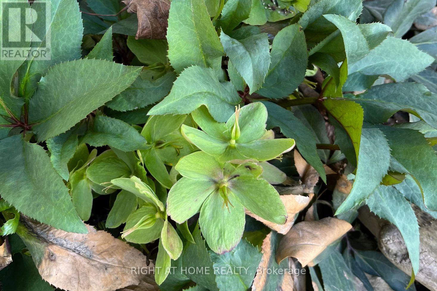 20 Argyle Crescent, Prince Edward County, Ontario  K0K 2T0 - Photo 45 - X12919528