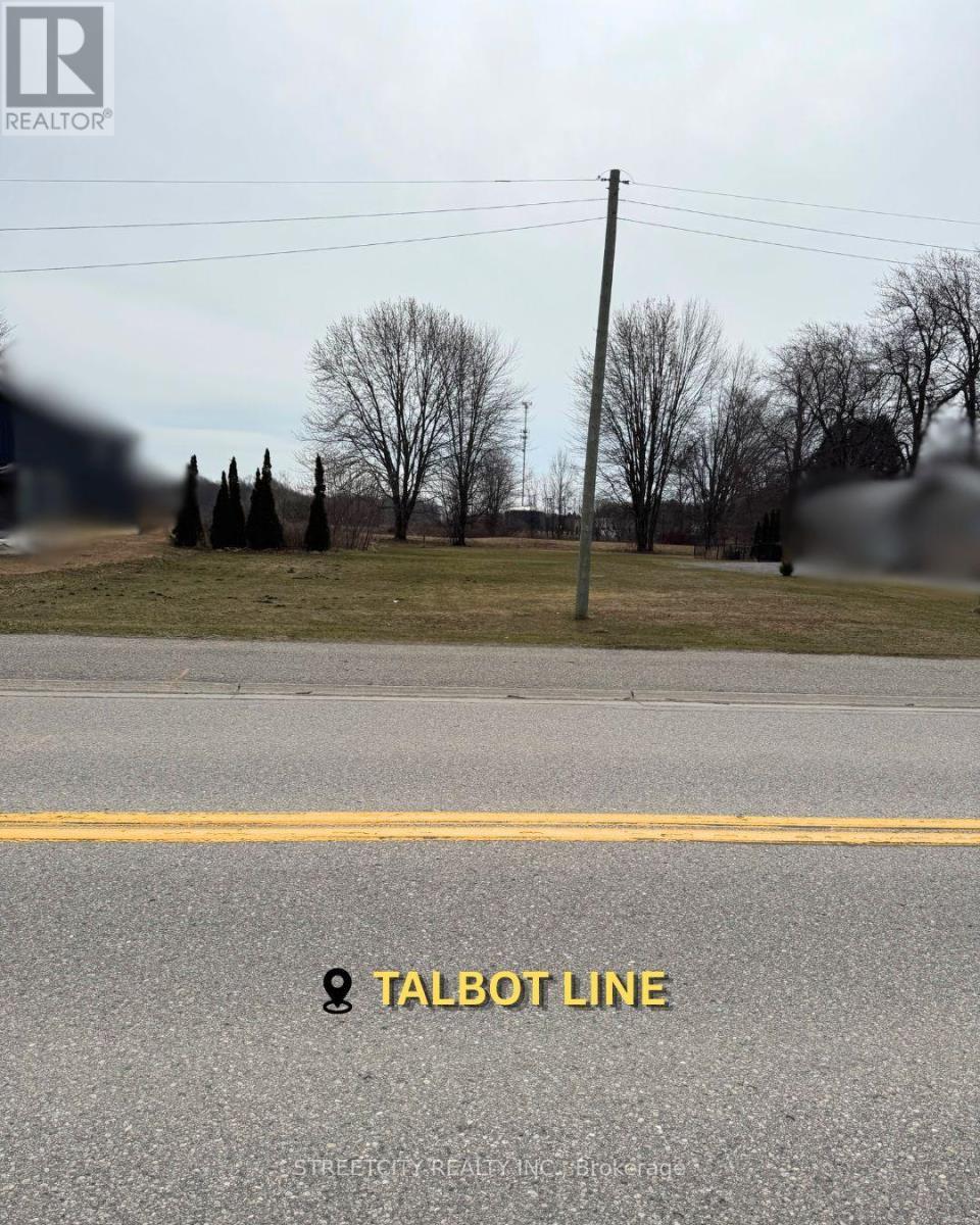 25349 Talbot Line, West Elgin, Ontario  N0L 2P0 - Photo 2 - X12916360