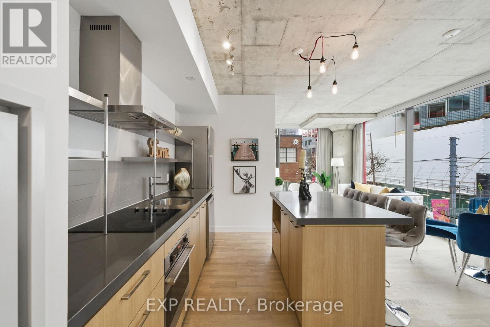 213 - 560 King Street W, Toronto, Ontario  M5V 0L6 - Photo 9 - C12917806