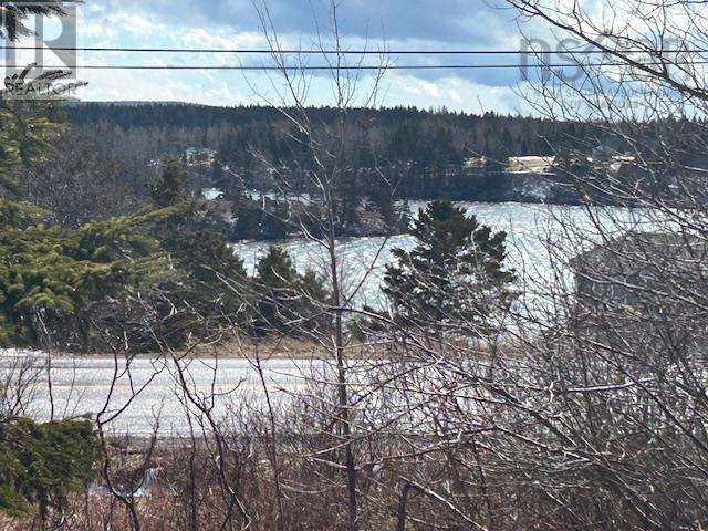 #4 Highway, River Bourgeois, Nova Scotia  B0E 2X0 - Photo 4 - 202605466