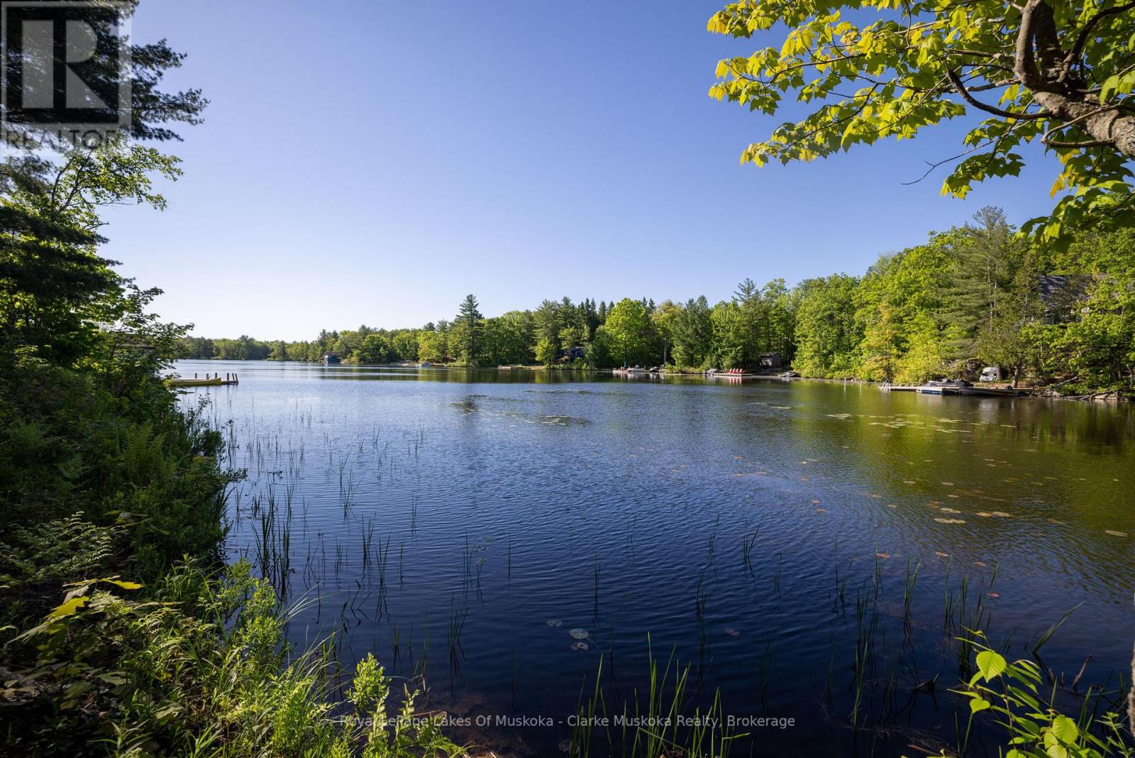 520 Sweets Portage Road, Georgian Bay, Ontario  L0K 1S0 - Photo 6 - X12920948