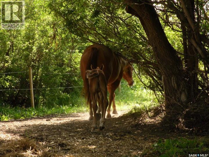 312 Golling Street, Lemberg, Saskatchewan  S0A 2B0 - Photo 2 - SK031201