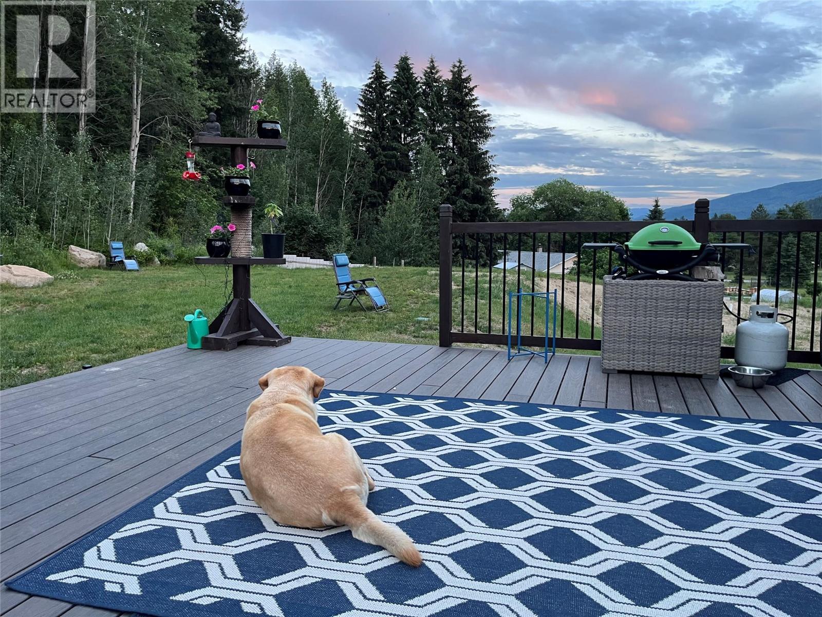 1953 Sandy Road, Castlegar, British Columbia  V1N 4T1 - Photo 65 - 10379009