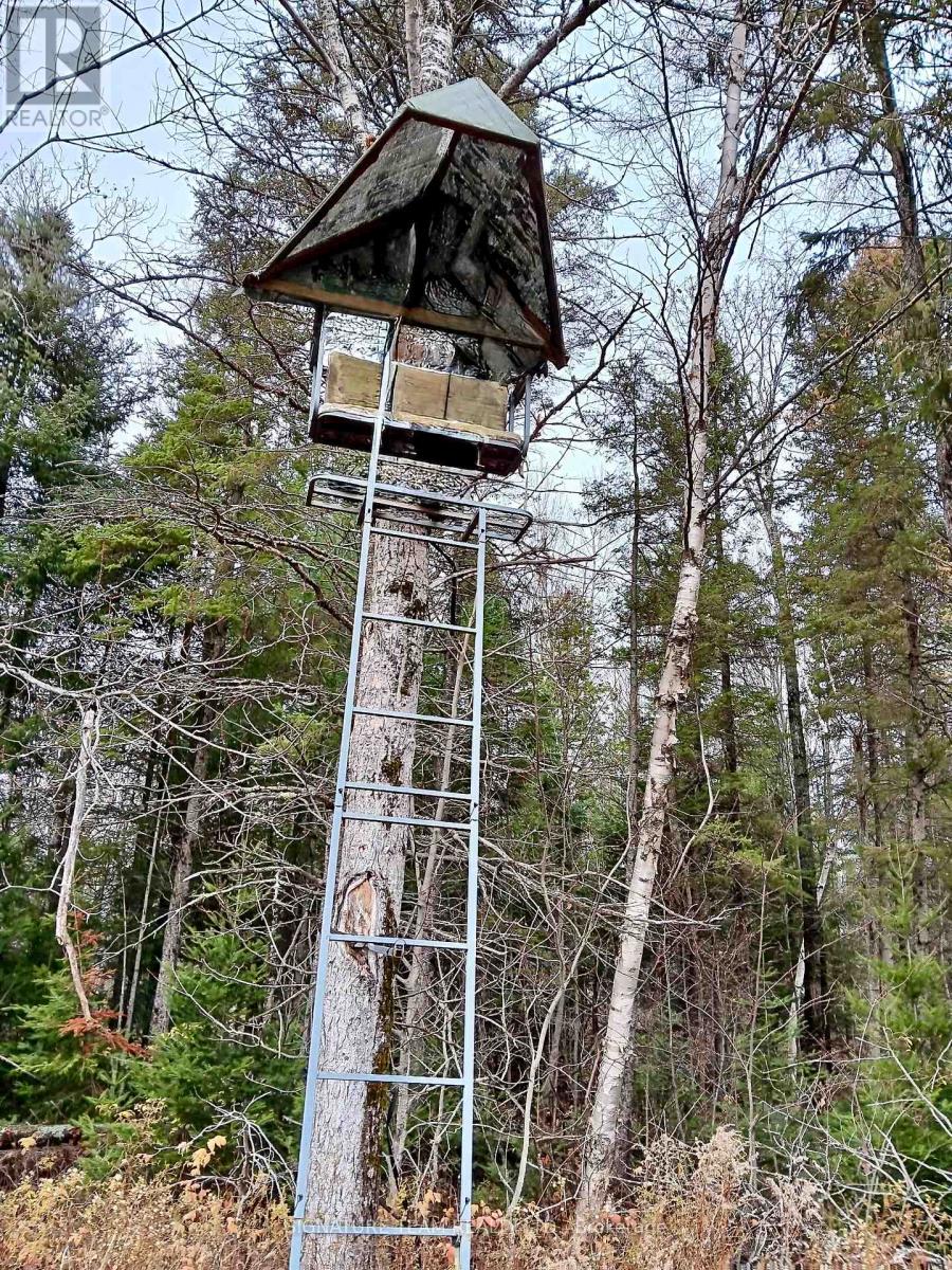174 Budd Road, Bonnechere Valley, Ontario K0J 1T0 - Photo 42 - X12475781