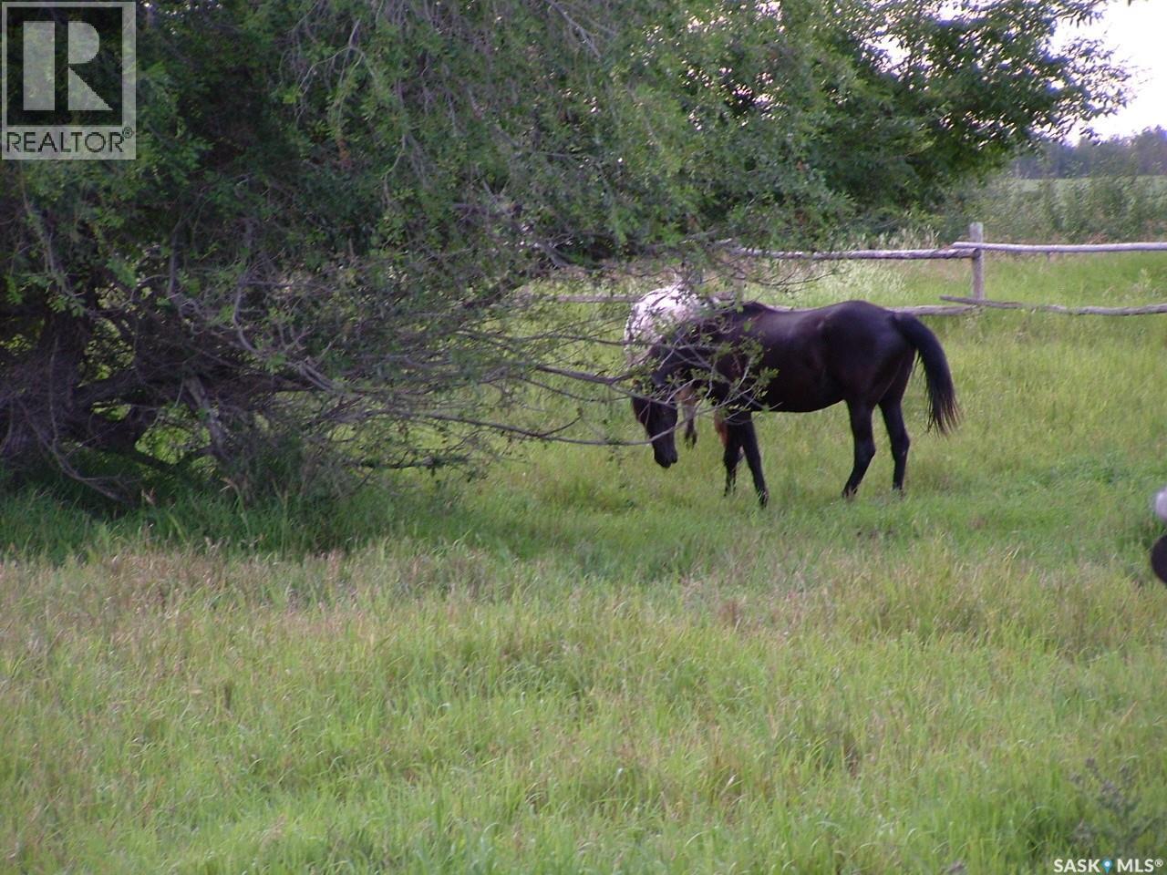 Hepburn Acres, Laird Rm No. 404, Saskatchewan  S0K 1Z0 - Photo 50 - SK031284
