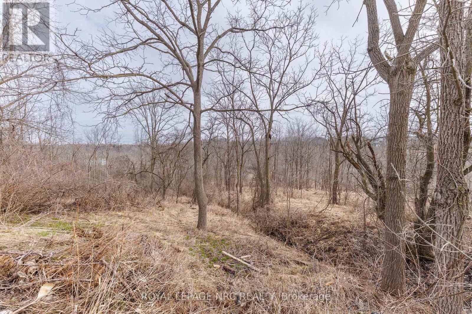 105 Hillview Road, St. Catharines, Ontario  L2S 1S8 - Photo 37 - X12921324