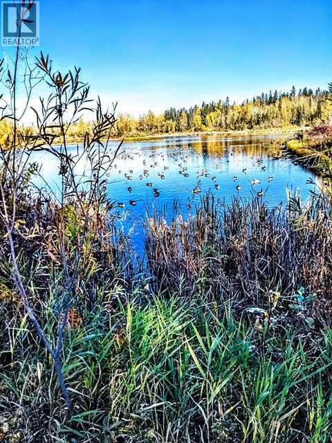 302, 41 Bennett Street, Red Deer, Alberta  T4R 1V4 - Photo 35 - A2287836