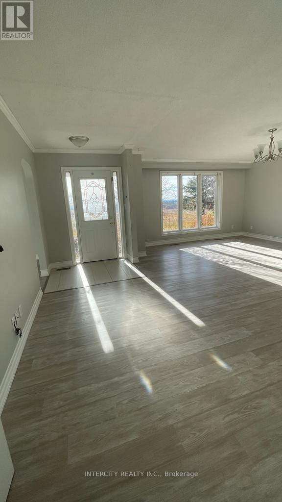 7512 5th Side Road, Adjala-Tosorontio, Ontario  L9R 1V3 - Photo 3 - N12921284