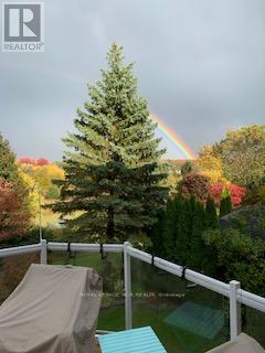 919 Schaeffer Outlook, Newmarket, Ontario L3X 1V9 - Photo 48 - N12921358