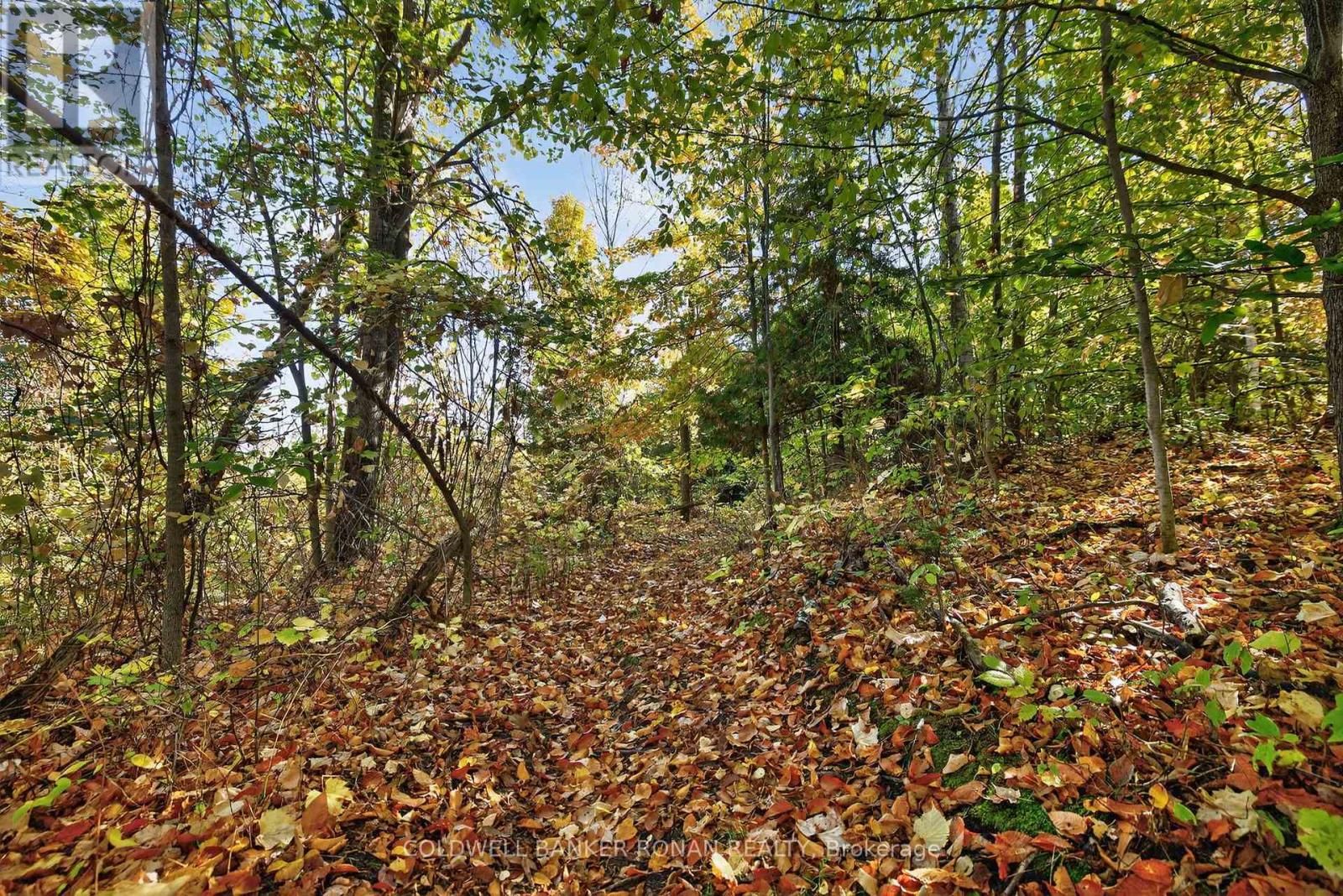 6595 3rd Line, Essa, Ontario  L9R 1V2 - Photo 46 - N12921404