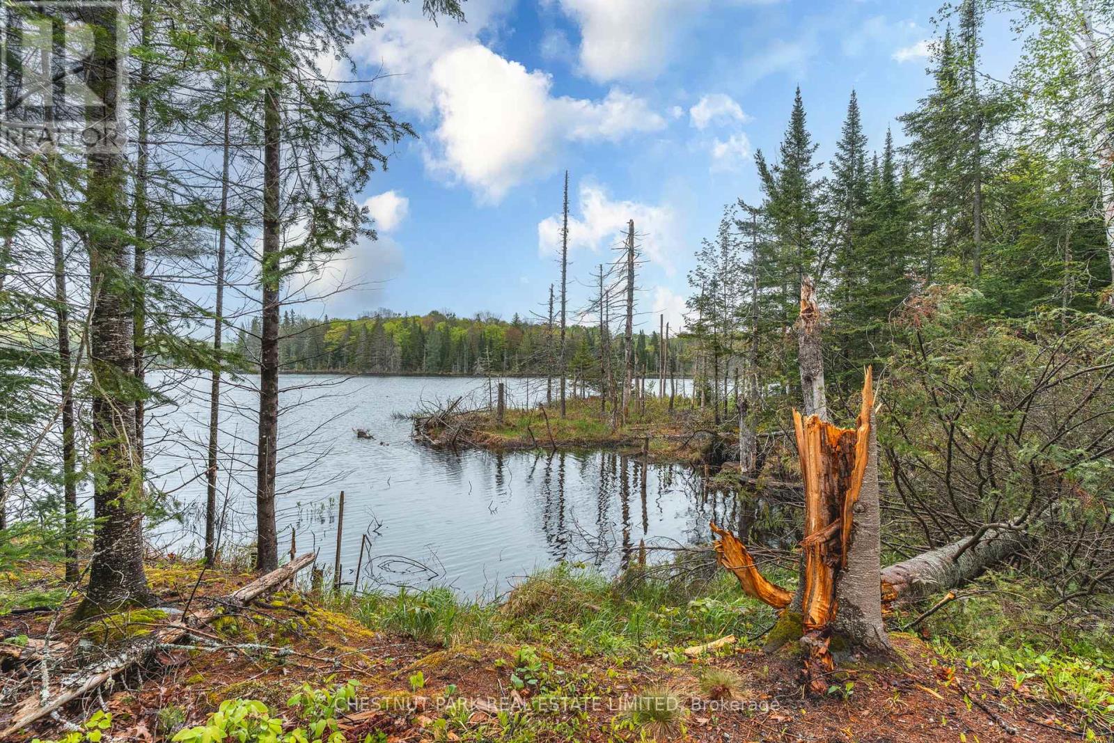 2411 Soyers Lake Road N, Dysart Et Al, Ontario  K0M 1S0 - Photo 24 - X12921292