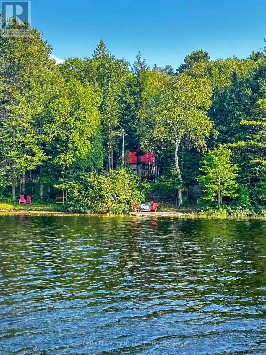 1257 Paint Lake Road, Lake Of Bays, Ontario  P0A 1E0 - Photo 25 - X12921312