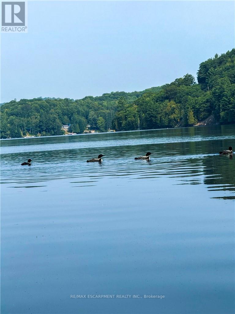 1257 Paint Lake Road, Lake Of Bays, Ontario  P0A 1E0 - Photo 33 - X12921312