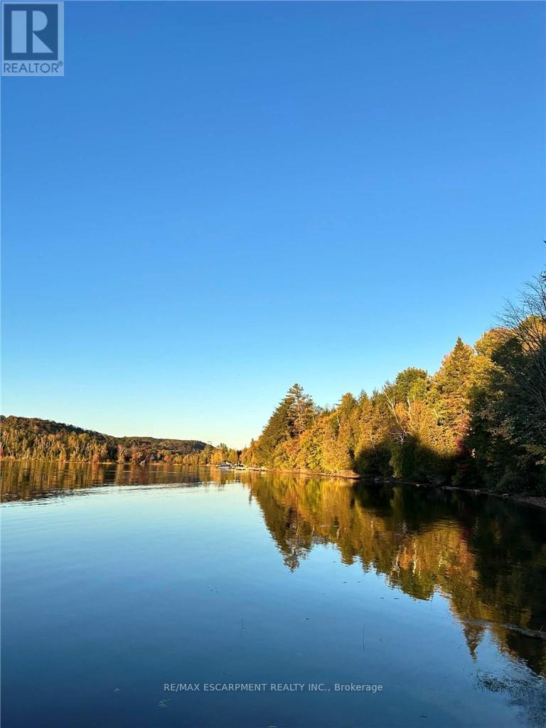 1257 Paint Lake Road, Lake Of Bays, Ontario  P0A 1E0 - Photo 4 - X12921312