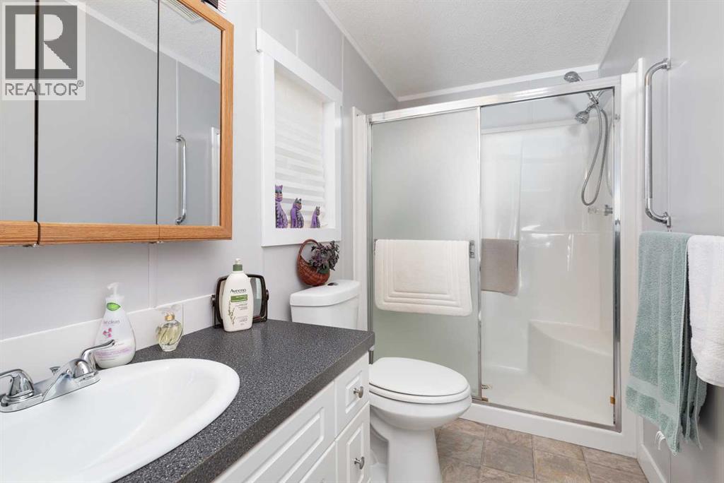 2918 30 Avenue S, Lethbridge, Alberta  T1K 6S7 - Photo 14 - A2281670