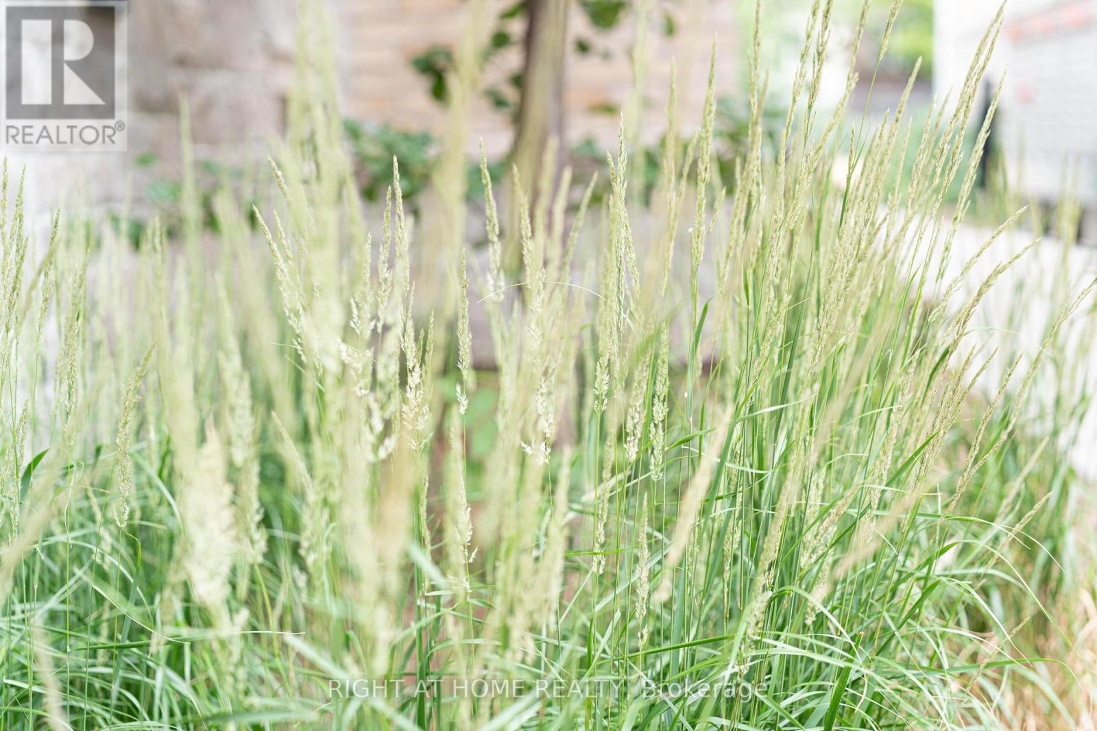 26 - 39 Drewry Avenue, Toronto, Ontario  M2M 0B4 - Photo 24 - C12846172