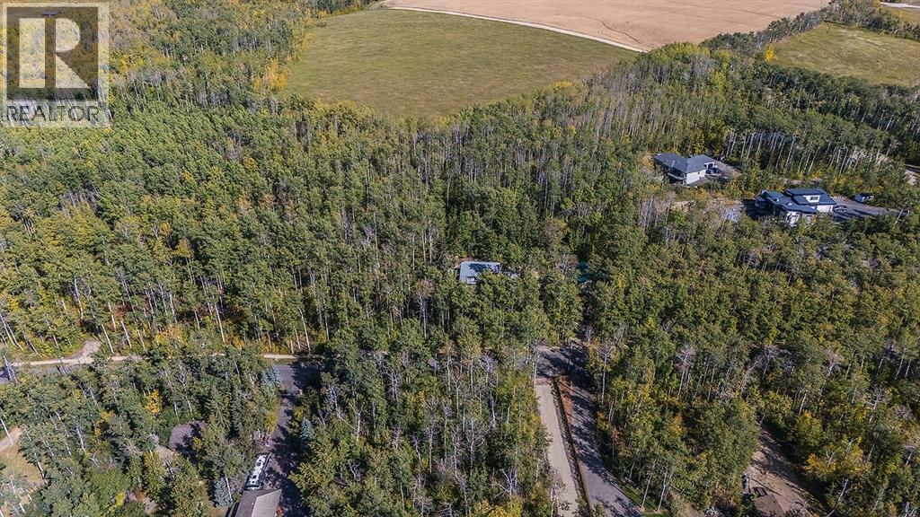 120 Birchcliff Road, Birchcliff, Alberta  T4S 1R6 - Photo 46 - A2285297